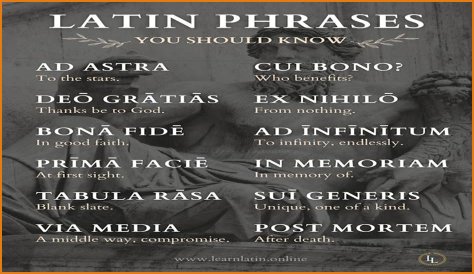 A Profile Of A Latin Beauty