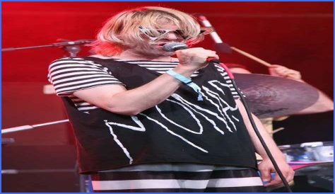 Ariel Pink Net Worth